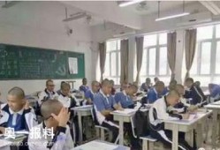 江苏职校爆料事件视频,揭开教育乱象的神秘面纱